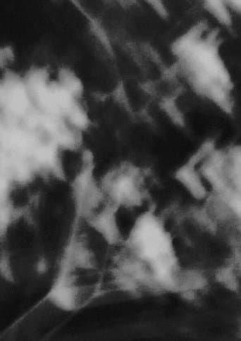 Portions of Light,  A Section poster - Find streaming availability