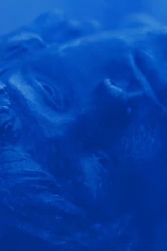 Azul no Azul poster - Find streaming availability