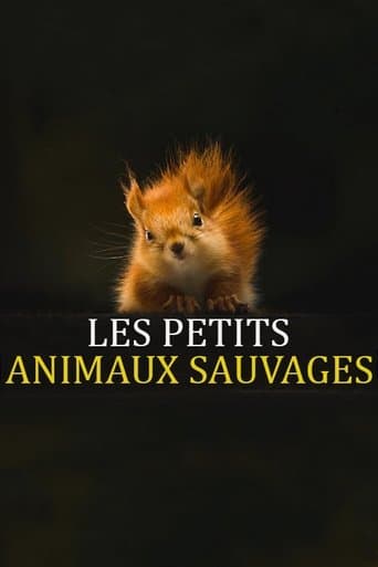 Les Petits Animaux Sauvages poster - Find streaming availability