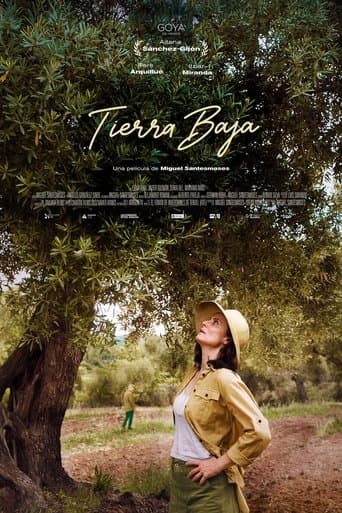 The Low Land poster - Find streaming availability