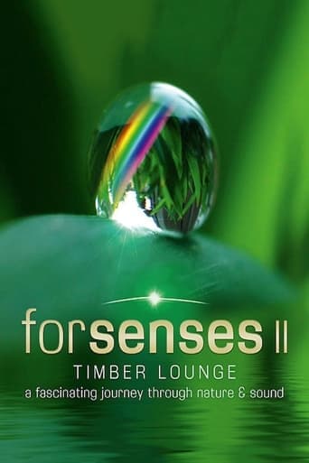 Forsenses II: Timber Lounge poster - Find streaming availability