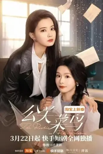 The Rookie in Public Relation poster - Find streaming availability