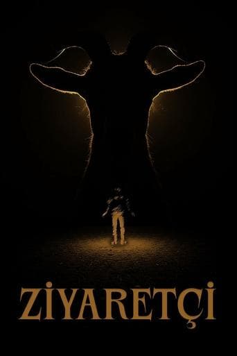 Visitor poster - Find streaming availability