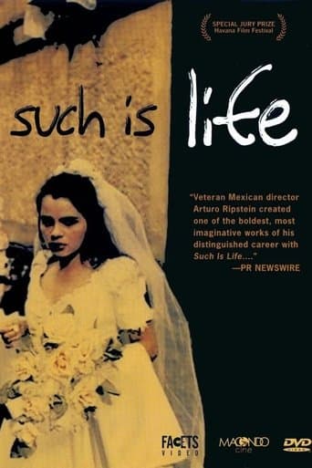 Such is Life poster - Find streaming availability