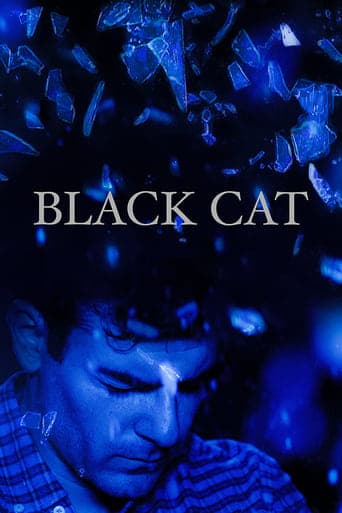 Black Cat poster - Find streaming availability