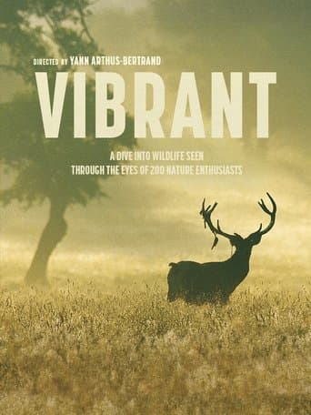 Vibrant poster - Find streaming availability