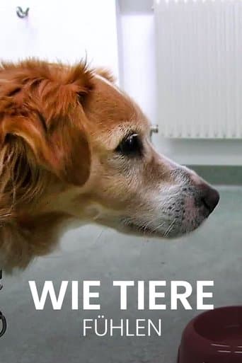 Wie Tiere fühlen poster - Find streaming availability