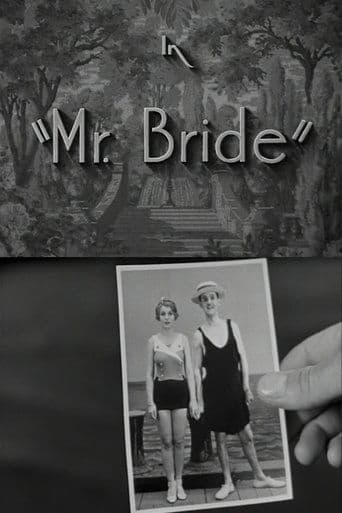 Mr. Bride poster - Find streaming availability