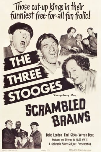 Scrambled Brains poster - Find streaming availability