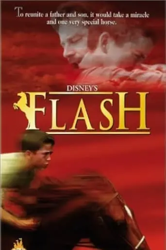 Flash poster - Find streaming availability