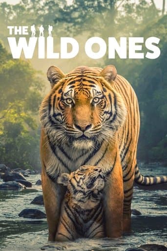 The Wild Ones poster - Find streaming availability