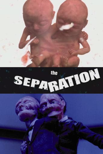 The Separation poster - Find streaming availability