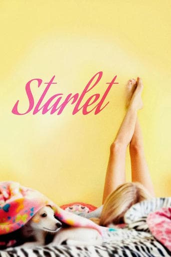 Starlet poster - Find streaming availability