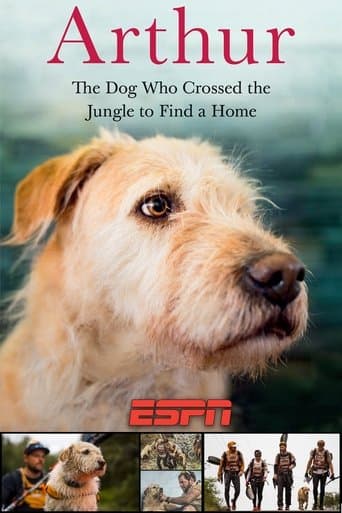 Arthur poster - Find streaming availability