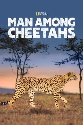 Man Among Cheetahs poster - Find streaming availability