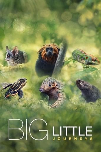 Big Little Journeys poster - Find streaming availability