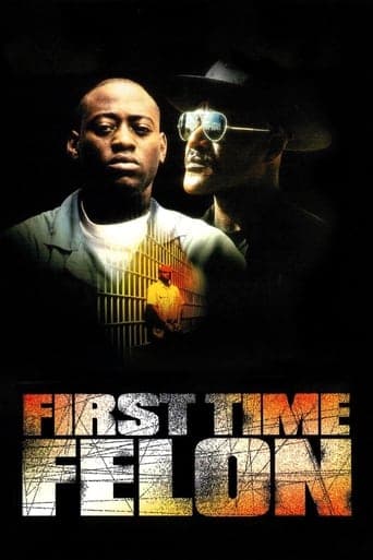 First Time Felon poster - Find streaming availability