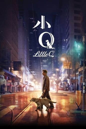 Little Q poster - Find streaming availability