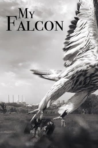My Falcon poster - Find streaming availability