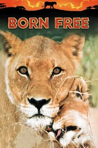 Born Free poster - Find streaming availability