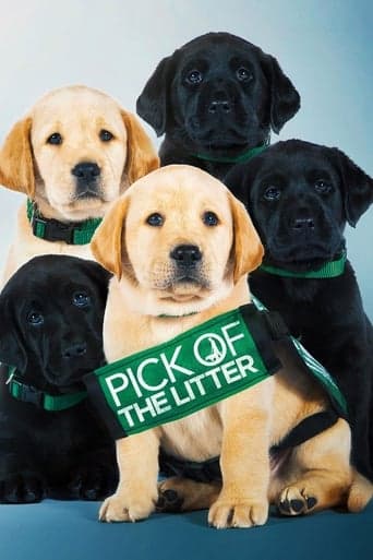 Pick of the Litter poster - Find streaming availability