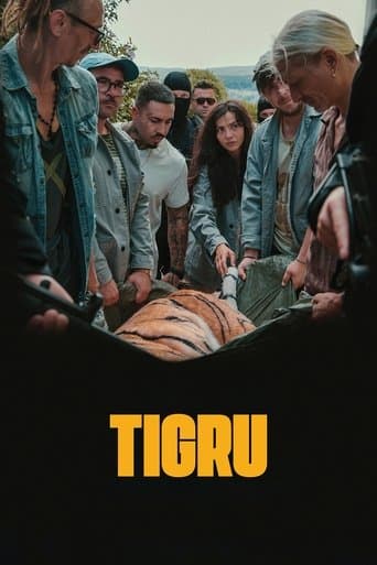 Day of the Tiger poster - Find streaming availability