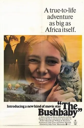 The Bushbaby poster - Find streaming availability