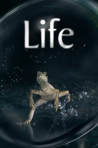 Life poster - Find streaming availability