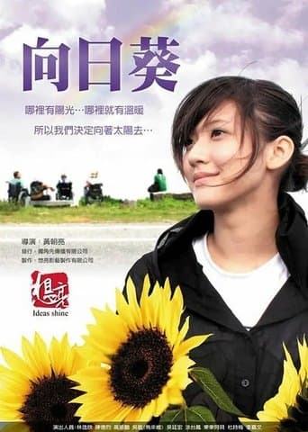 Sun Flowers poster - Find streaming availability