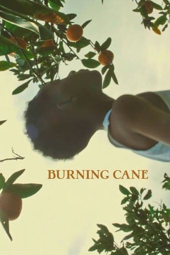 Burning Cane poster - Find streaming availability