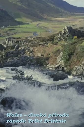 Wales: Great Britain's Wild West poster - Find streaming availability