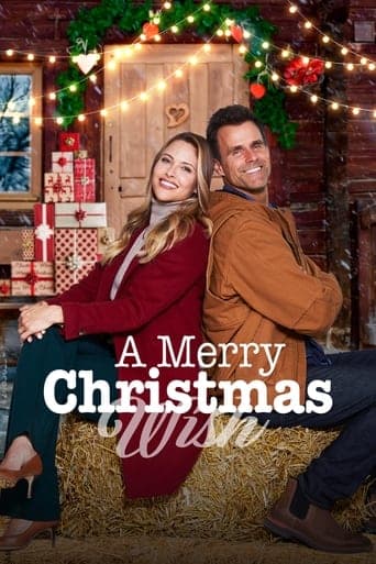 A Merry Christmas Wish poster - Find streaming availability