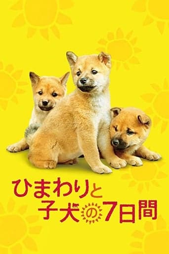 7 Days of Himawari & Her Puppies poster - Find streaming availability