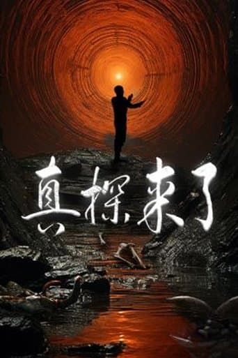 真探来了 poster - Find streaming availability