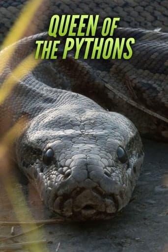 Queen of the Pythons poster - Find streaming availability