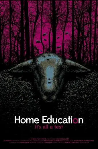 Home Education poster - Find streaming availability