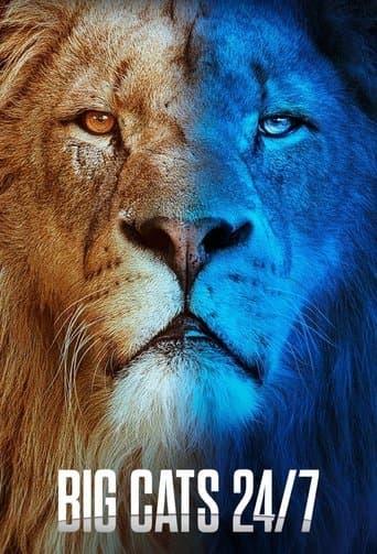 Big Cats 24/7 poster - Find streaming availability