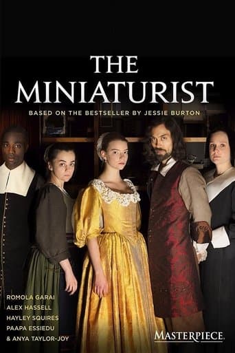The Miniaturist poster - Find streaming availability