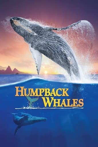 Humpback Whales poster - Find streaming availability