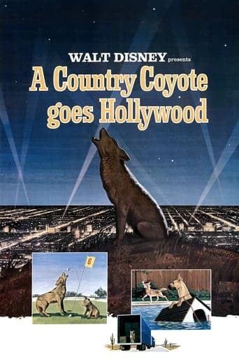 A Country Coyote Goes Hollywood poster - Find streaming availability