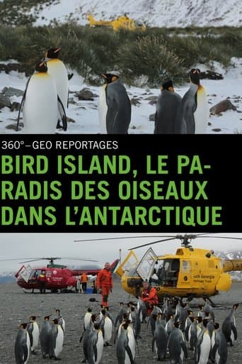Bird Island - Allein unter Pinguinen poster - Find streaming availability