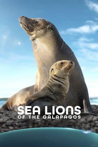 Sea Lions of the Galapagos poster - Find streaming availability