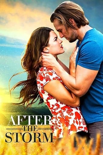 After the Storm poster - Find streaming availability