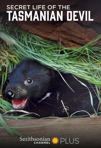 Secret Life Of The Tasmanian Devil poster - Find streaming availability