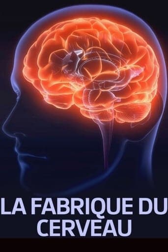 La fabrique du cerveau poster - Find streaming availability