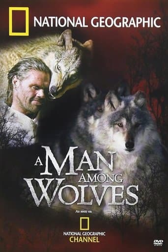A Man Among Wolves poster - Find streaming availability