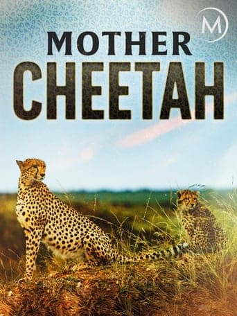 Cheetah Mom poster - Find streaming availability