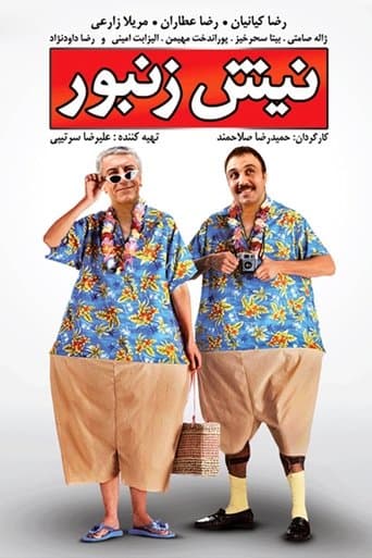Nish O Zanboor poster - Find streaming availability