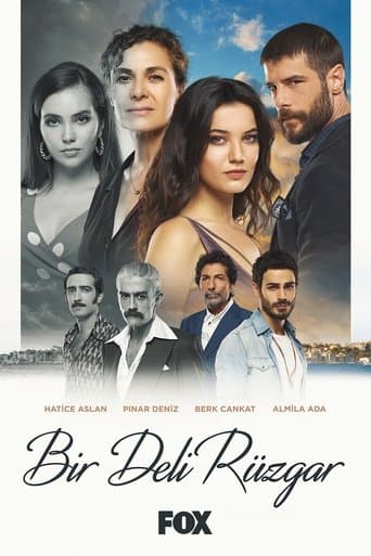 Bir Deli Rüzgar poster - Find streaming availability