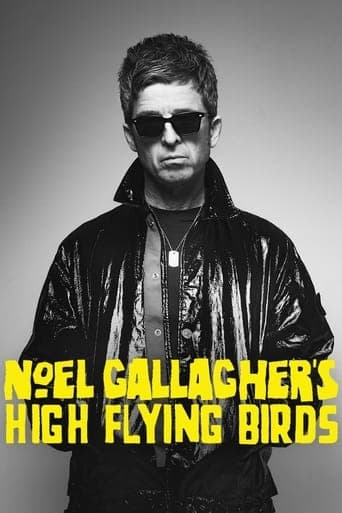 Noel Gallagher's High Flying Birds en concert au Zénith de Paris poster - Find streaming availability